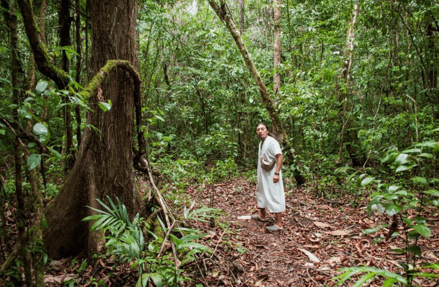 2 Day Lacandon Jungle, the Lost City and Bonampak Ruins - Transportation and Group Dynamics