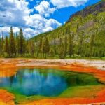 2-Day Private Tour in Yellowstone(Lower and Upper Loops w Iconic Sites) w Lunch - Day 1: Wildlife in Lamar Valley