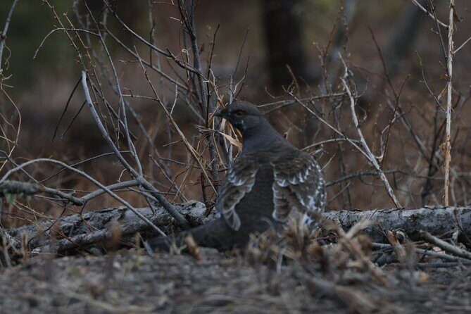 2-Day Private Yellowstone Tour(Lower and Upper Loops w Iconic Sites) w Lunch - Final Thoughts