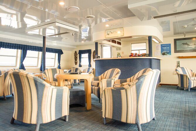 2-Day Snorkelling Experience - Great Barrier Reef Twin Share - Who should consider this tour?