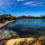 2-Day Waiheke Island Sea Kayak Tour - Day 2: Back to the Mainland and More Marine Life