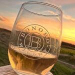 2 Day Wine Tour NON BUS Traverse City Wine Country 2 Peninsula - What To Expect from the Experience