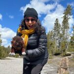 2 Day Yellowstone Safari Upper and Lower Loop Bozeman - What’s Included and What’s Not