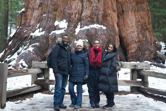 2 Days Private Tour to Sequoia and Kings Canyon Parks from LA - What Do the Reviews Say?