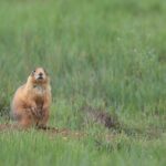 2-Hour, 4-seat ATV Rental next to Bryce National Park - Final Thoughts