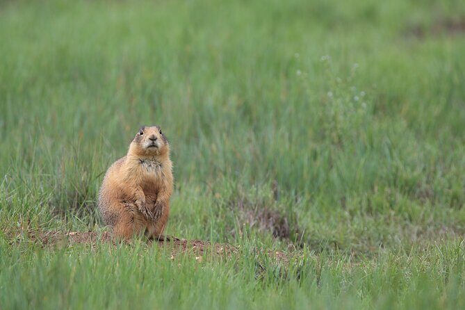 2-Hour, 4-seat ATV Rental next to Bryce National Park - Final Thoughts