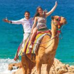 2-Hour Camel Ride Beach and Desert Adventure Experience - Is It Worth the Price? Analyzing Value