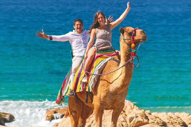 2-Hour Camel Ride Beach and Desert Adventure Experience - Is It Worth the Price? Analyzing Value