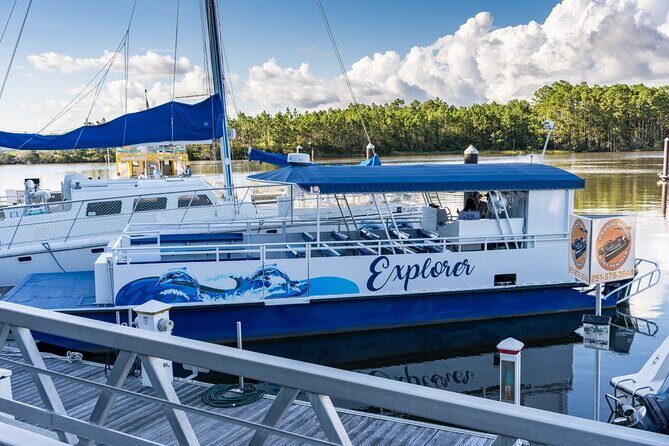 2-Hour Dolphin and Nature Eco Tour from Orange Beach - The Itinerary in Detail