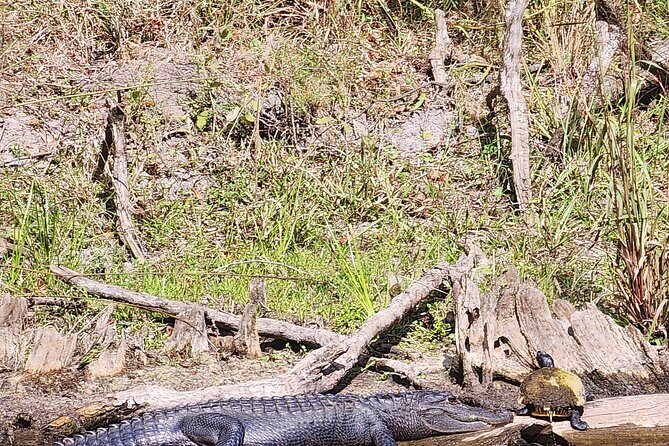 2 Hour Guided Clear Glass Bottom Kayak Tour Gilchrist Blue Spring - What’s Included and What’s Not