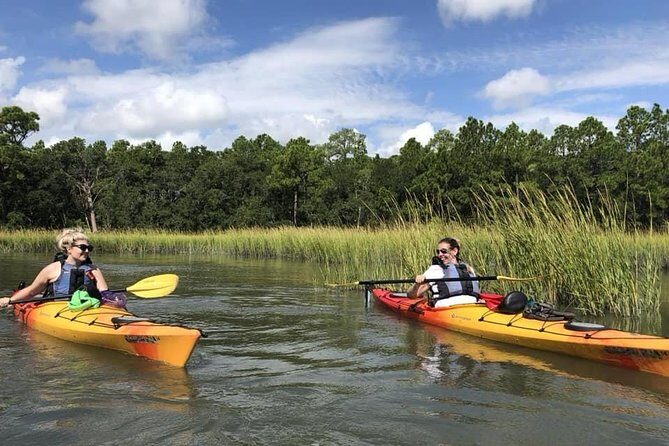 2-Hour Guided Kayak Eco Tour in Charleston - The Value of the Experience
