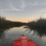 2 Hour Guided Kayak Tour at Palmetto Bluff - The Value and the Experience