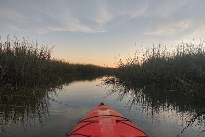 2 Hour Guided Kayak Tour at Palmetto Bluff - The Value and the Experience