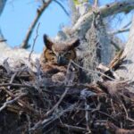 2 Hour Historical Wildlife Tour of the Chain of Lakes - Who Would Love This Tour?
