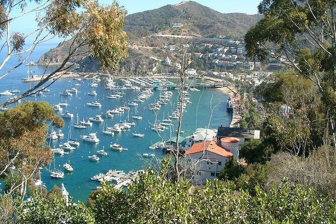 2 hour Inside Adventure Tour on Catalina Island - Who Should Consider This Tour?