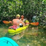 2 Hour Key West Kayak Rental  Discover Mangroves & Wildlife! - The Value of a Self-Guided Experience