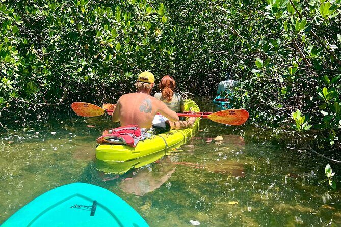 2 Hour Key West Kayak Rental  Discover Mangroves & Wildlife! - The Value of a Self-Guided Experience