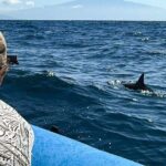 2 Hour Maui Dolphin Watch Sightsee Raft Tour (Semi-Private) - What You Can Expect During the Tour