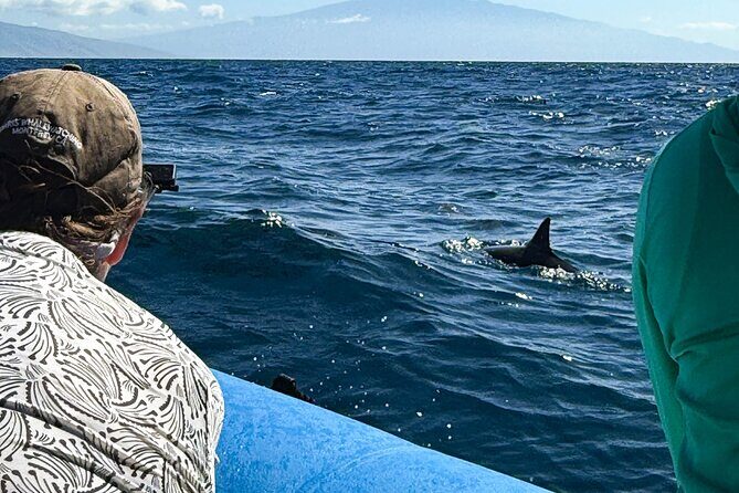2 Hour Maui Dolphin Watch Sightsee Raft Tour (Semi-Private) - What You Can Expect During the Tour