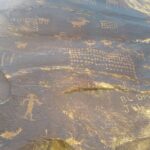 2 hour Moab Ebike Petroglyph Tour - An In-Depth Look at the Moab E-bike Petroglyph Tour