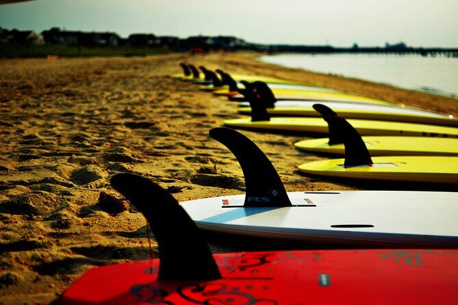 2-Hour Paddleboard Rental in Rehoboth Bay - The Experience and Its Highlights