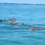 2 Hour Private Eco-Tour - Who Should Consider This Tour?