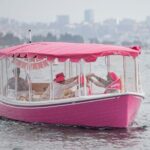 2-Hour Private Pink Bachelorette Boat Cruise in San Diego Bay - Final Thoughts