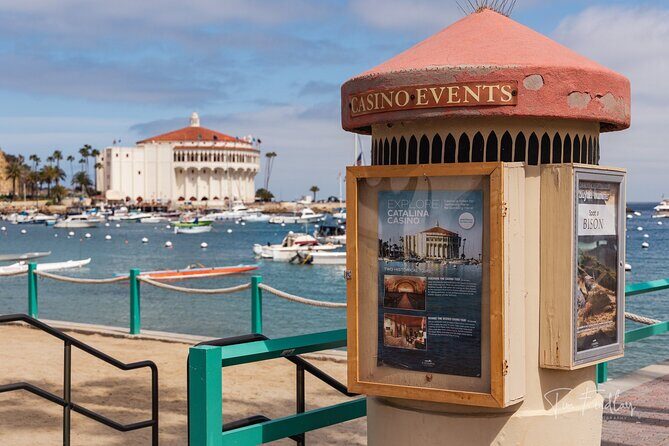 2 Hour Private Tour of Avalon - Who Should Book This Tour?