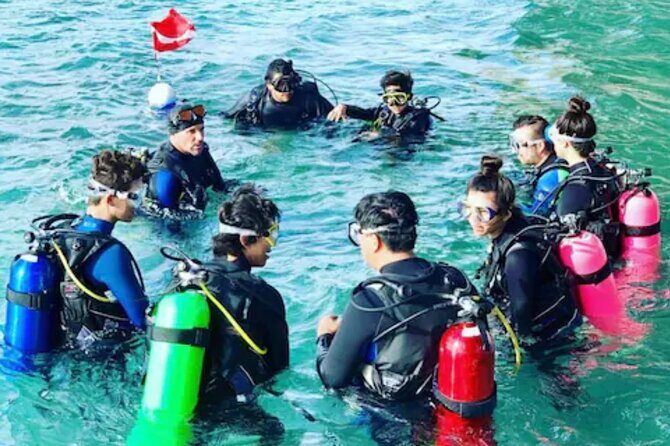 2-Hour Scuba Diving Experience for Beginners in Central Florida - What to Expect During the Tour