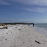 2-hour Shelling Boat Tour in the 10,000 Islands - The itinerary: What to Expect and Why It Matters