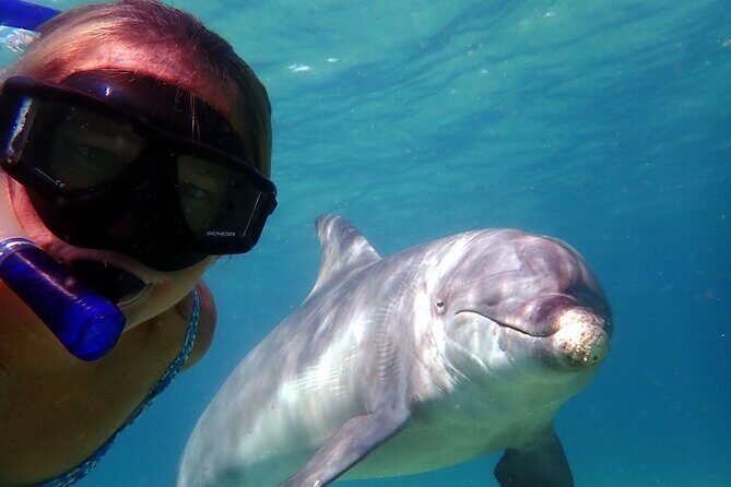 2 Hour Snorkeling and Dolphin Tour - Who Is This Tour Best For?