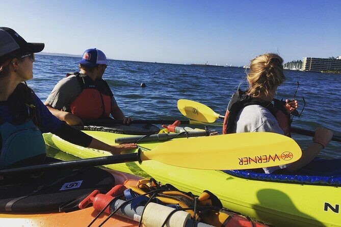 2 Hour Sound Tour - A Closer Look at the 2-Hour Sound Tour