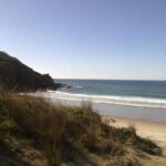 2 Hour Surf Lesson - Te Arai Beach - The Experience’s Highlights