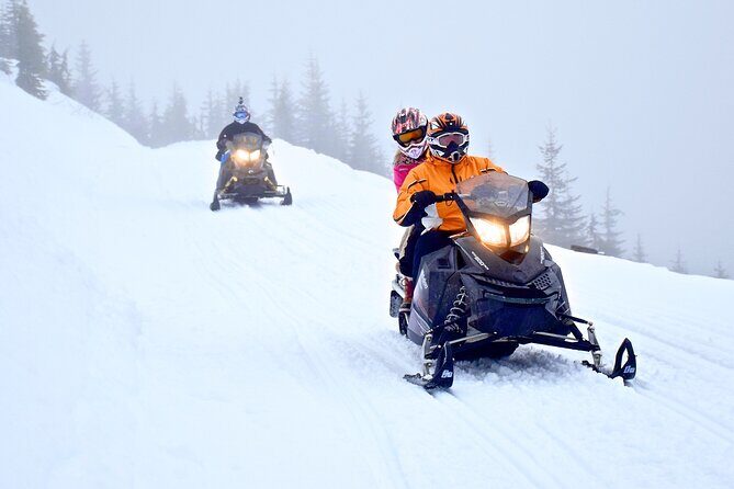 2 Hour Wilderness Adventure Snowmobile Tour in Whistler - The Guides and the Experience