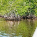 2 Hour Wildlife Adventure - Practical Tips for Your Wildlife Adventure