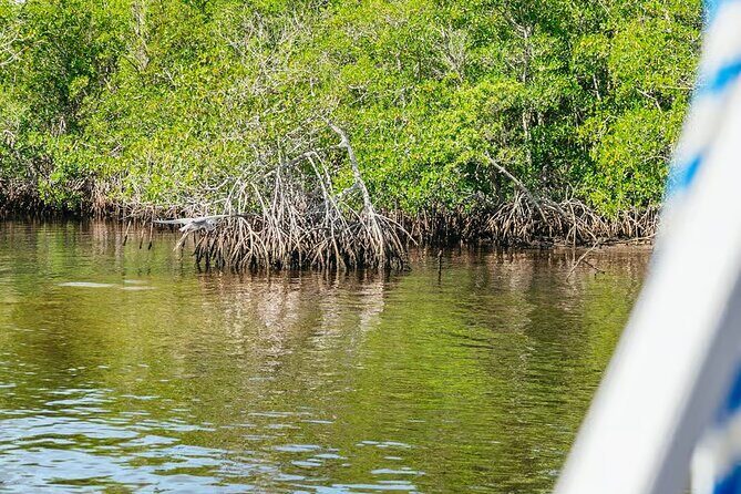 2 Hour Wildlife Adventure - Practical Tips for Your Wildlife Adventure