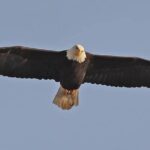 2-Hour Wildlife and Culture small van Excursion - Final Thoughts