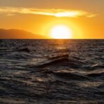 2 Hours Catamaran Sunset Tour - The Sum Up