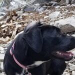 2-Hours Hiking Night Tour to Strip Views in Las Vegas - Who Should Consider This Hike?