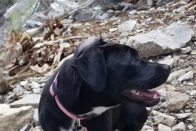 2-Hours Hiking Night Tour to Strip Views in Las Vegas - Who Should Consider This Hike?