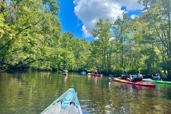 2-Hr Blackwater Kayak Tour just outside Charleston - Exploring the Blackwater Kayak Tour just outside Charleston