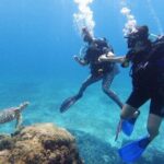 2 Tank Cozumel Reef Boat Dives - The Dive Sites and Underwater Experience