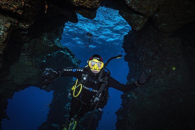 2 Tank Lanai Cathedral Scuba Dive Via Boat for Certified Divers - Wildlife and Underwater Highlights