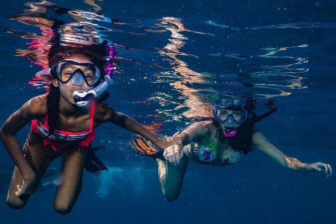 2-Tank Maui Turtle Scuba Dive or Snorkel Boat Tour - Who Should Book This Tour?