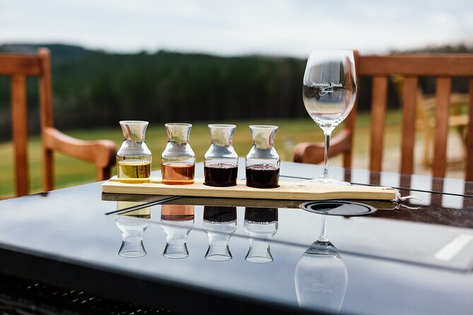 2 Vineyard Wine Tour of Western NC - How the Experience Might Feel