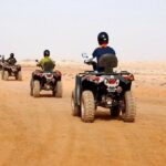 2Hours DE Quad + Comedy EN Tour and Crocoparc Tour - Practical Details and What They Mean for You