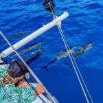 2hr Luxury Private Sailing Catamaran for 7-12 People - Breaking Down the Itinerary: What Your 2 Hours Might Look Like