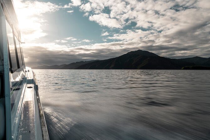 3.5 Hour Marlborough Sounds Delivery Cruise - Final Thoughts