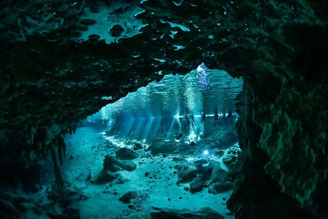 3 Cenote Dives - Casa & Dos Ojos - The Cost and Its Value