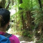 3 Day Kayak & Walk North New Zealand - Final Thoughts